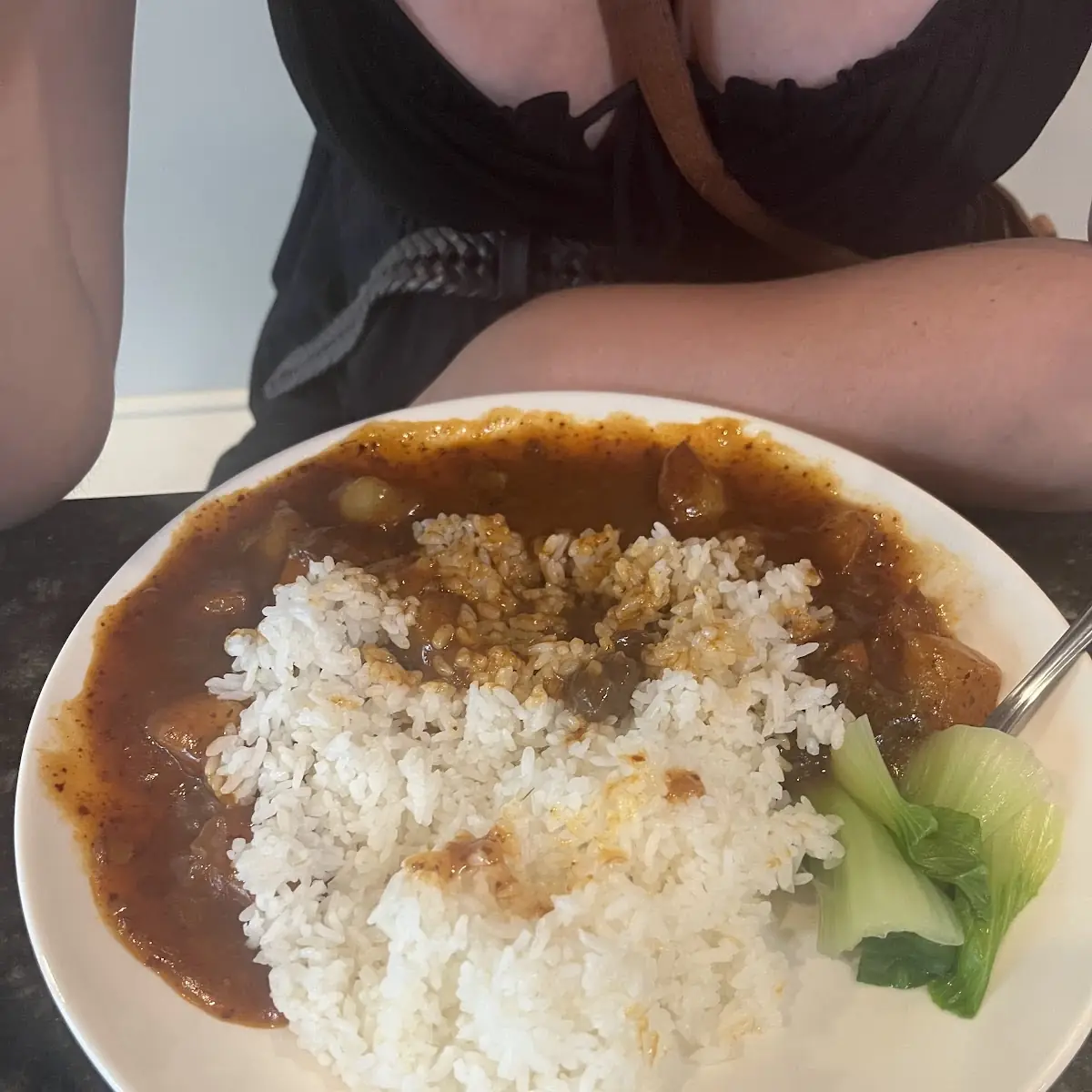 Braised Beef with White Rice