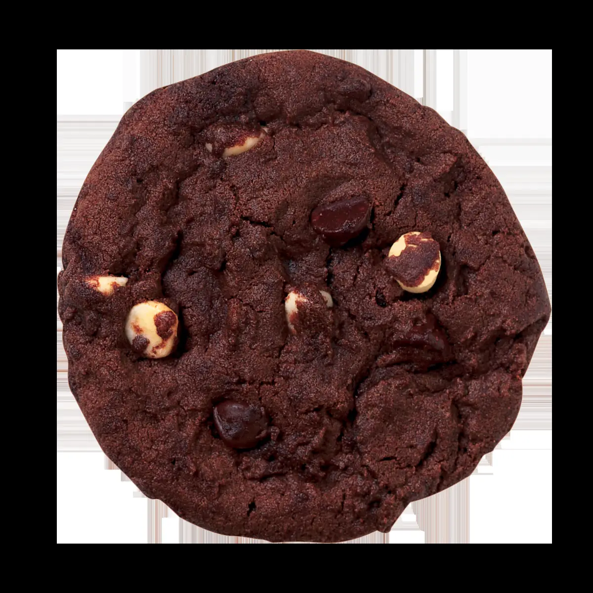 Double Chocolate Cookie