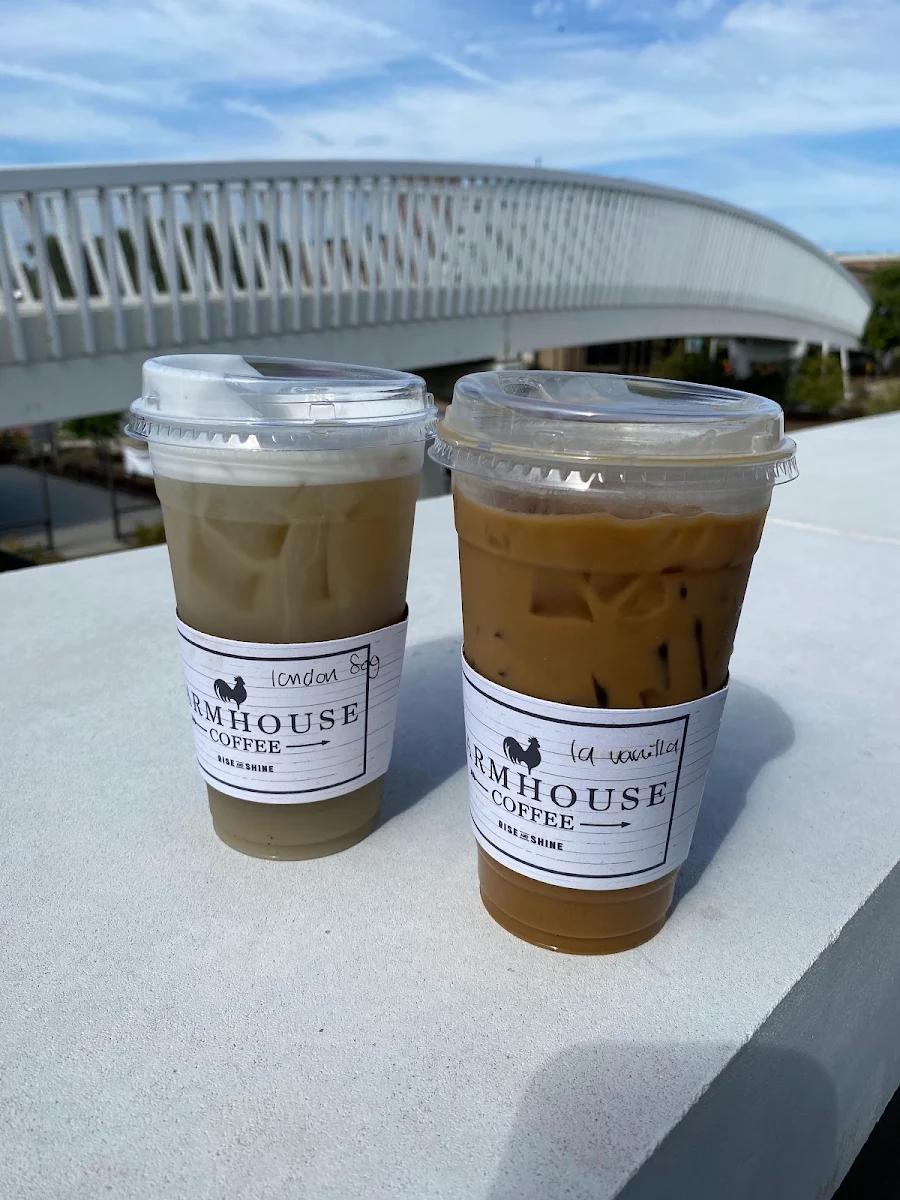 Cold Brew