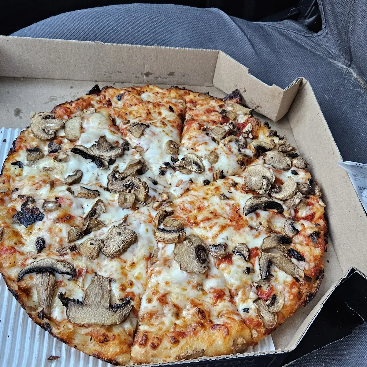 Pan Pizza Mushroom Pizza