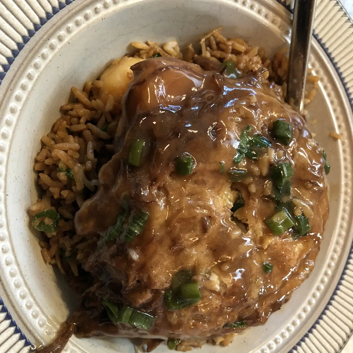 Beef or Chicken & Gravy on Steamed Rice