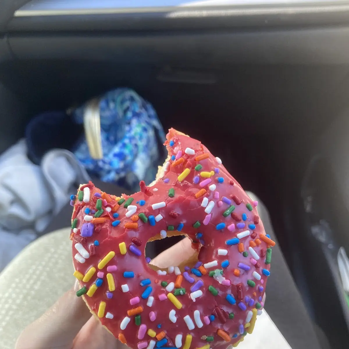 Doughnut
