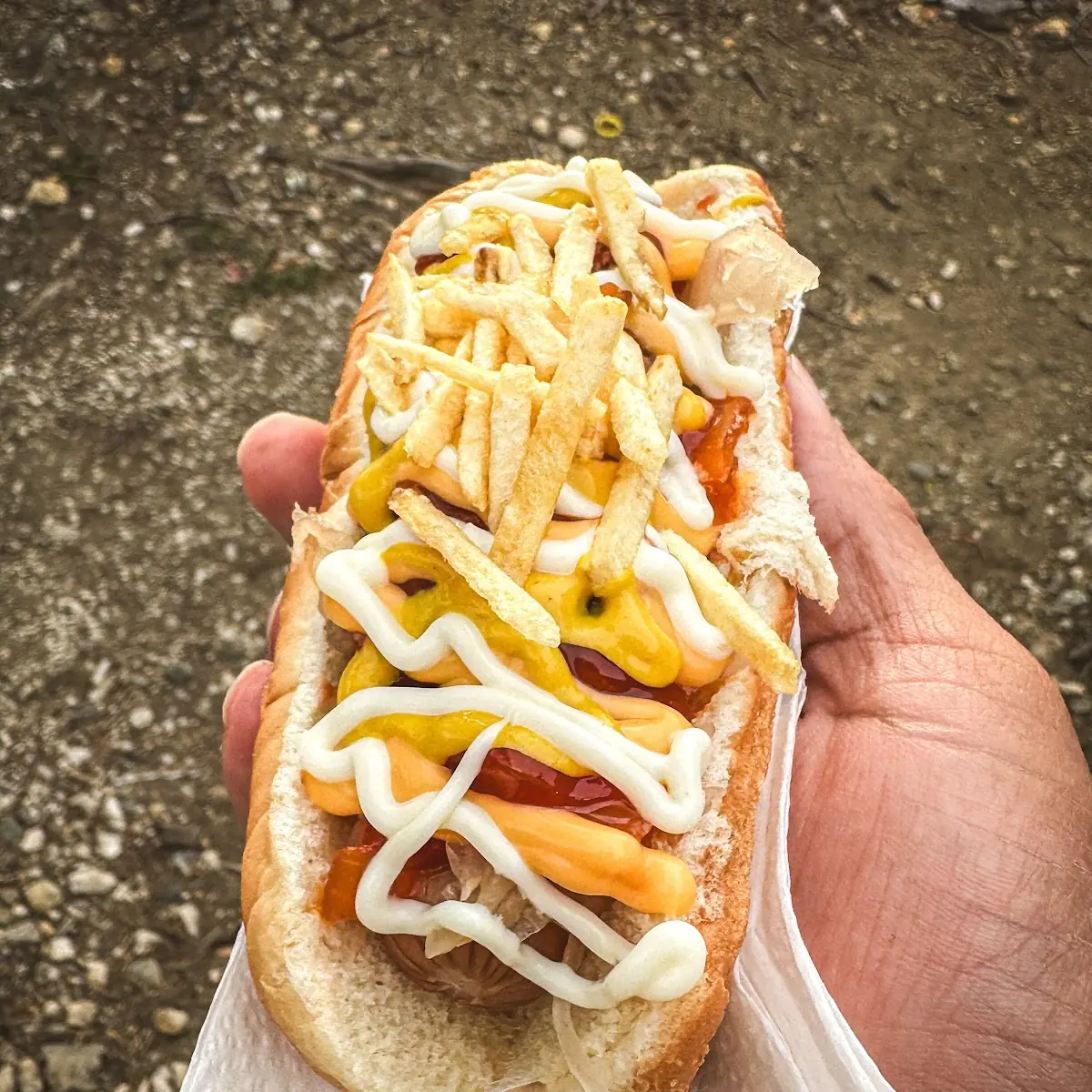 Hot Dog Con Todo