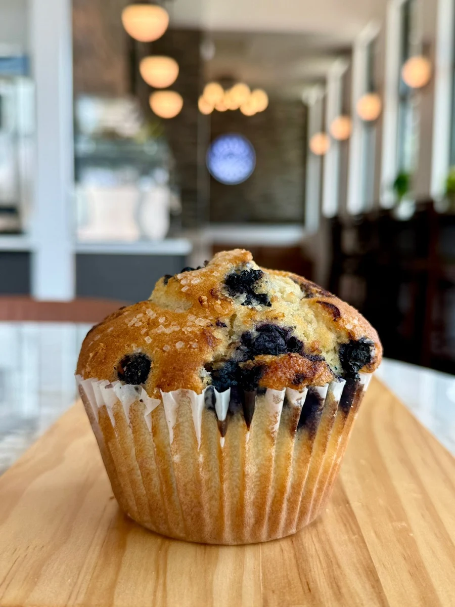 Blueberry Muffin