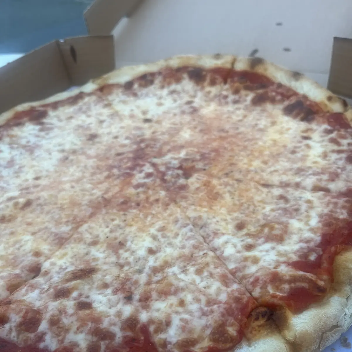 Cheese Pizza