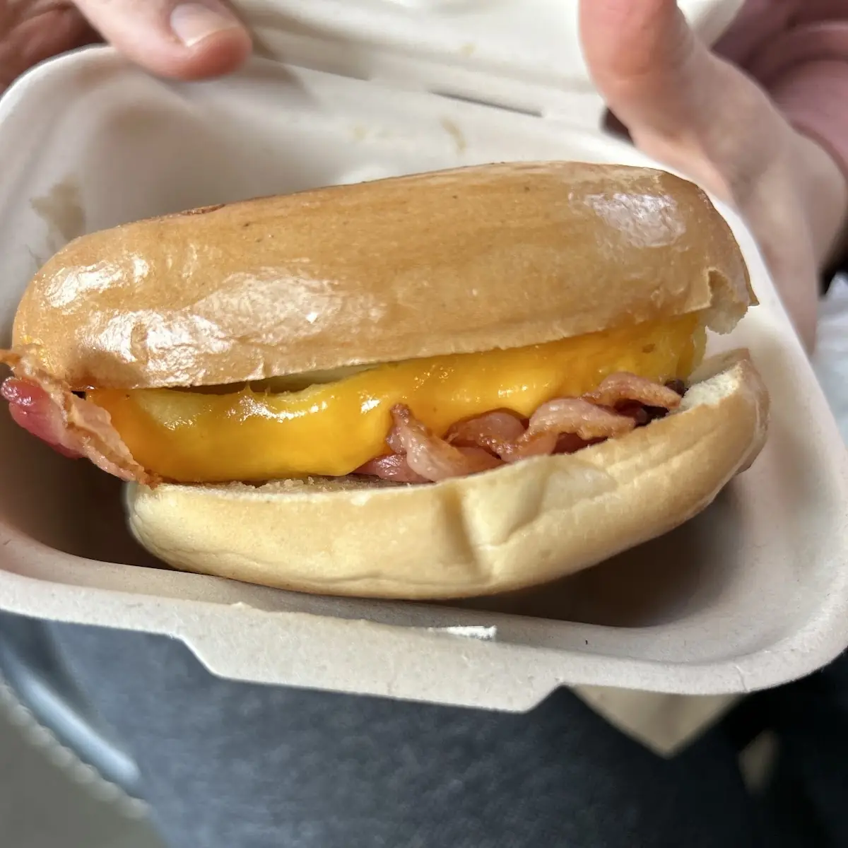 Bacon Cheese Sandwich