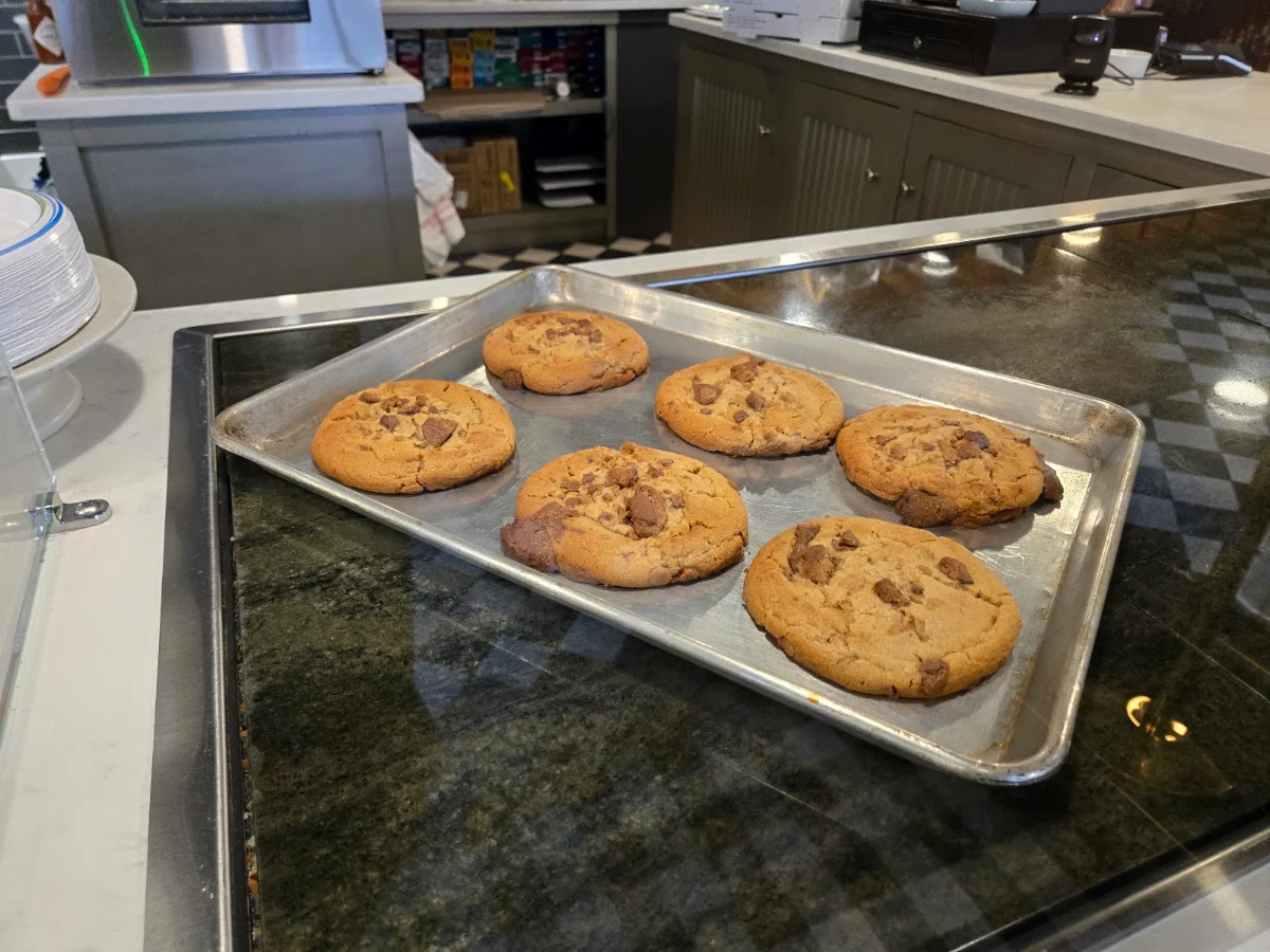 Chocolate Chip Cookie