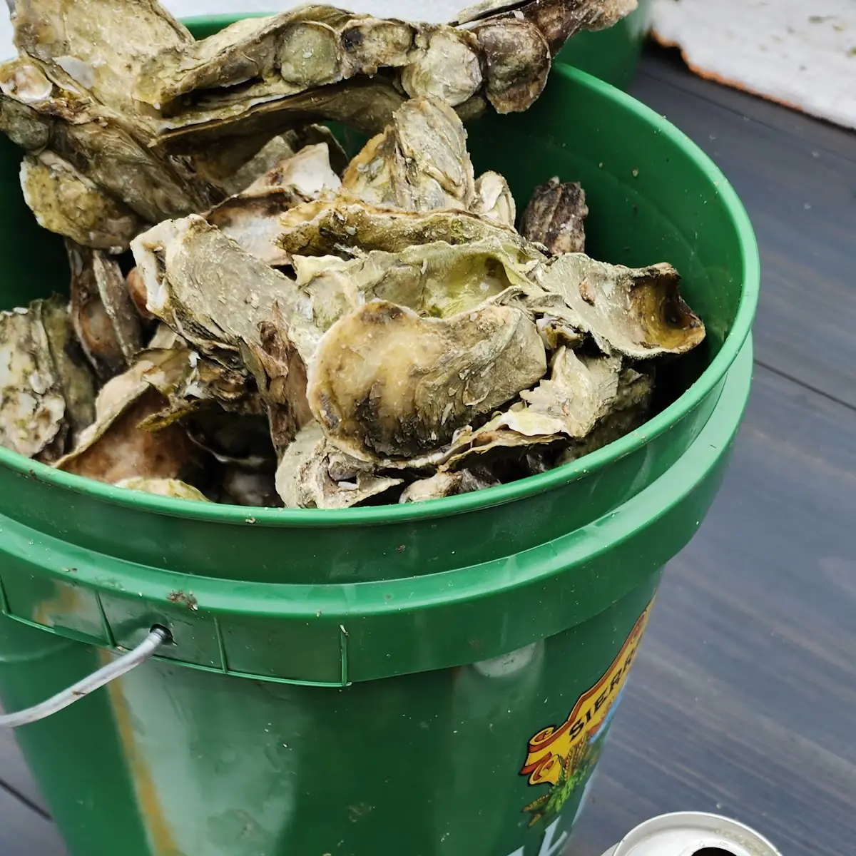 Oysters on the Half Shell