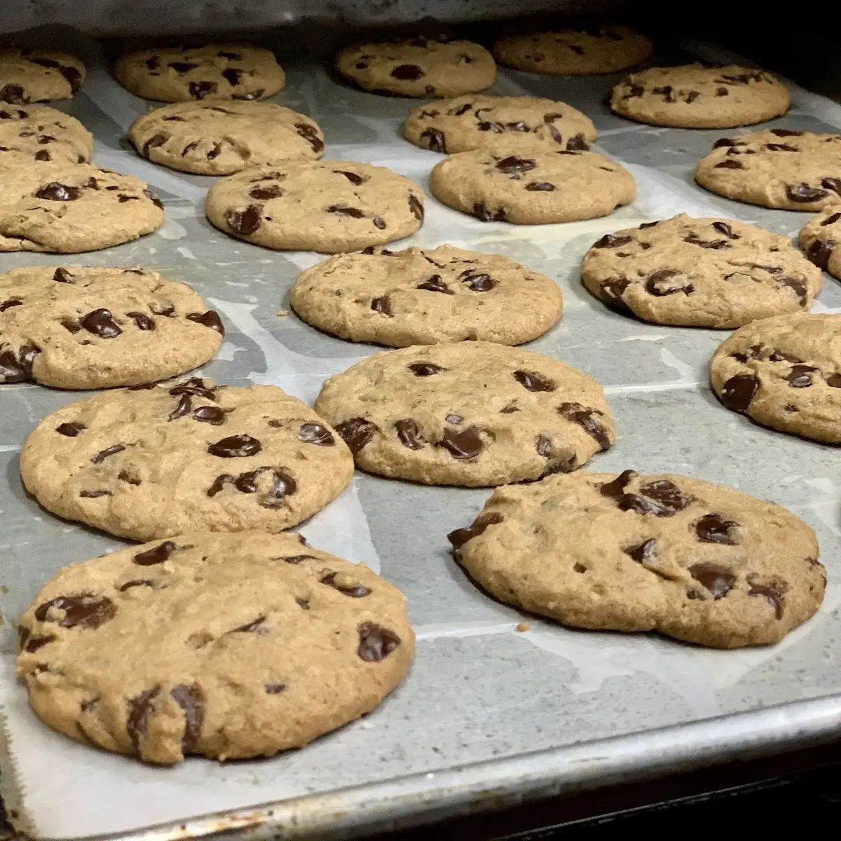 Chocolate Chip Cookies