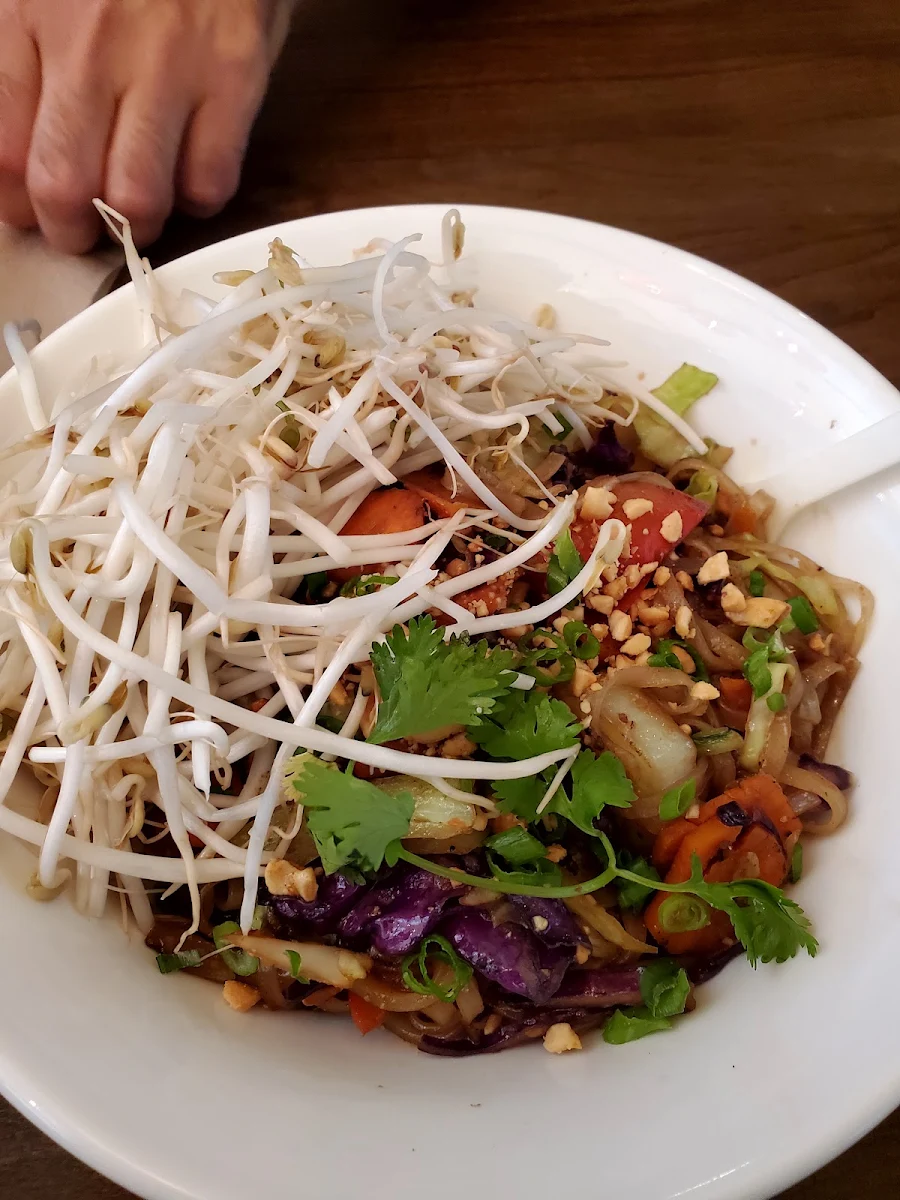 Rice Noodle