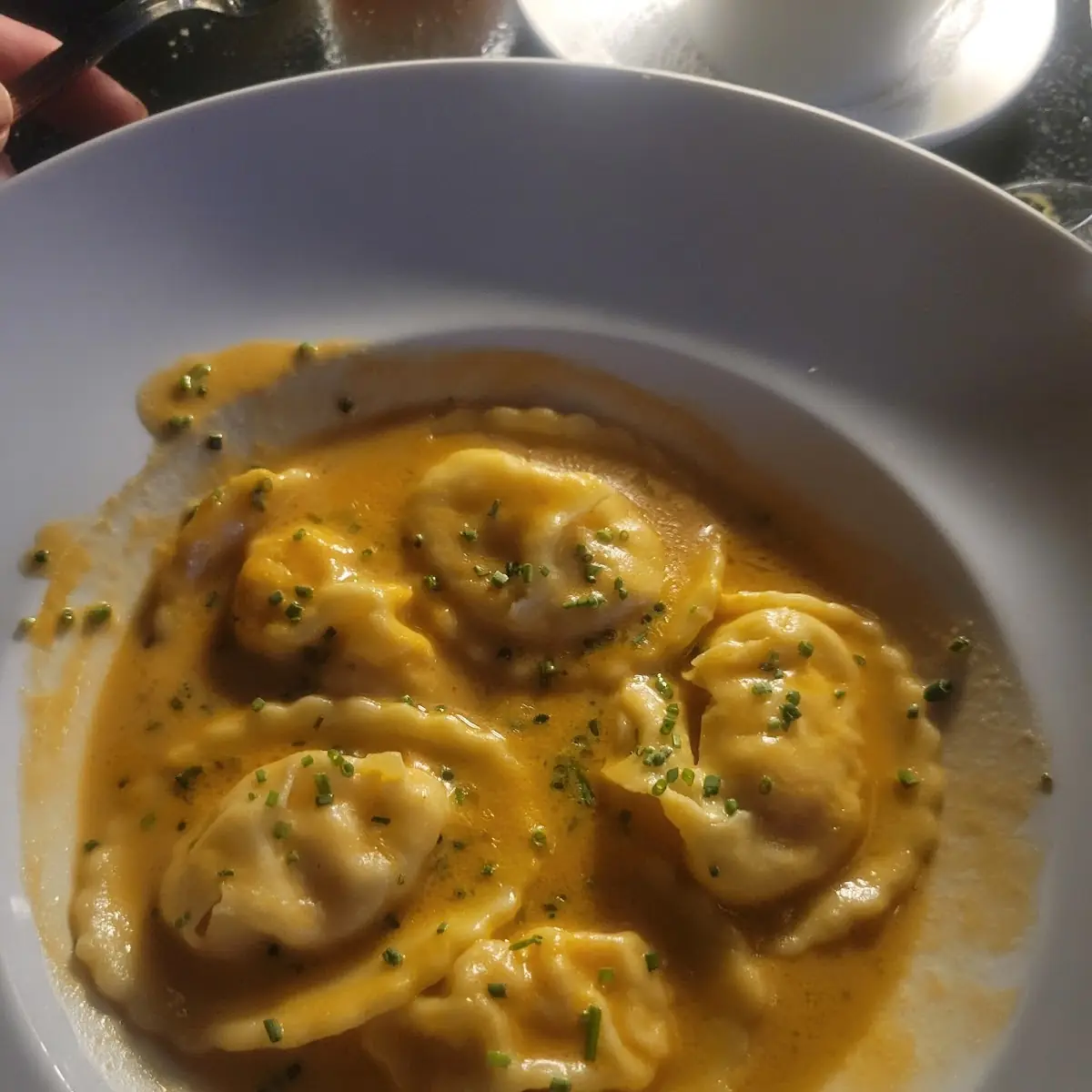 Maine Lobster Ravioli