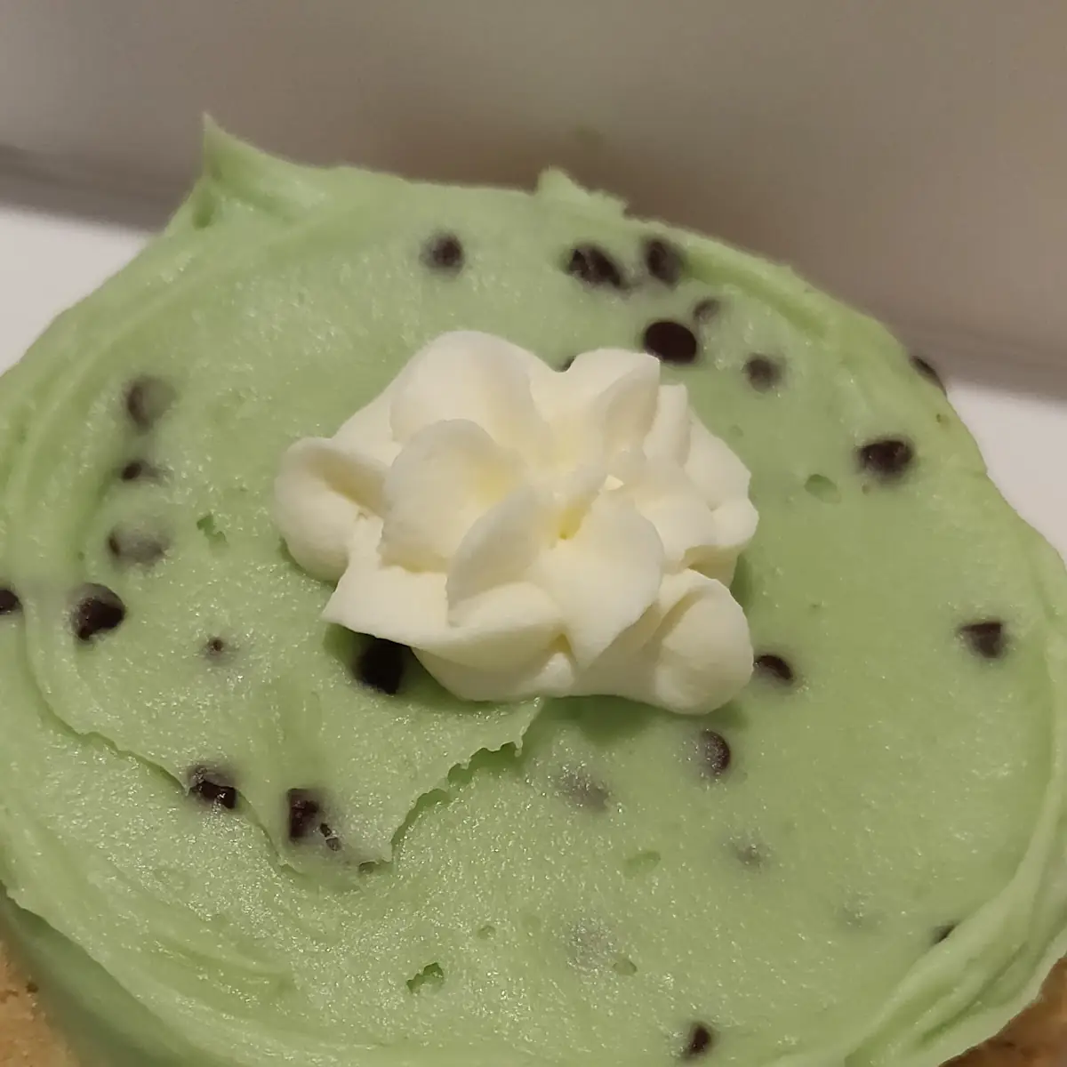 Mint Chocolate Chip Cookie