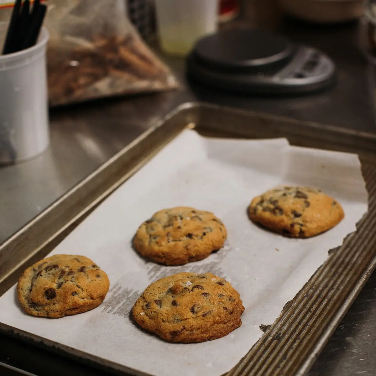 Chocolate Chip Cookie
