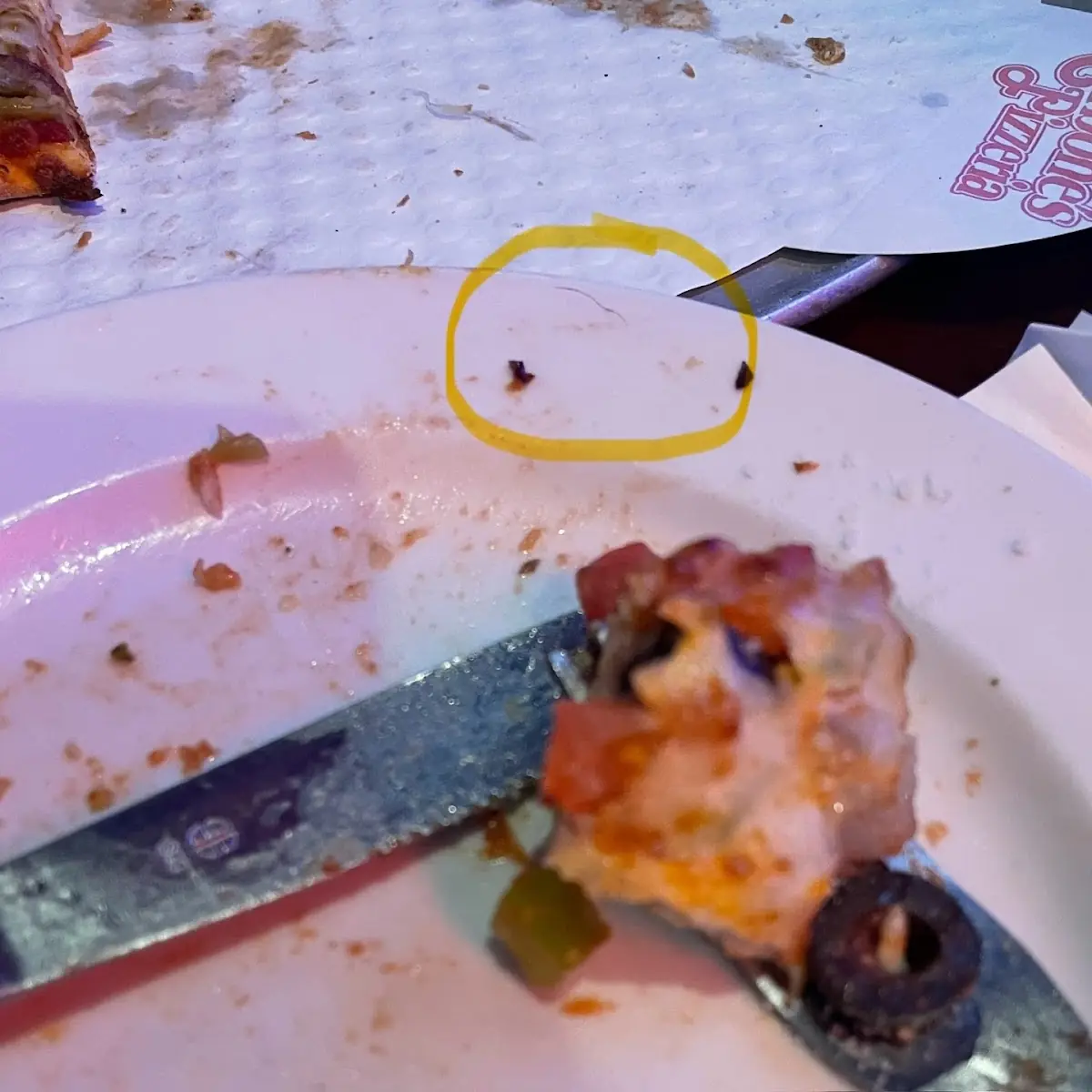 Veggie Pizza with Hair