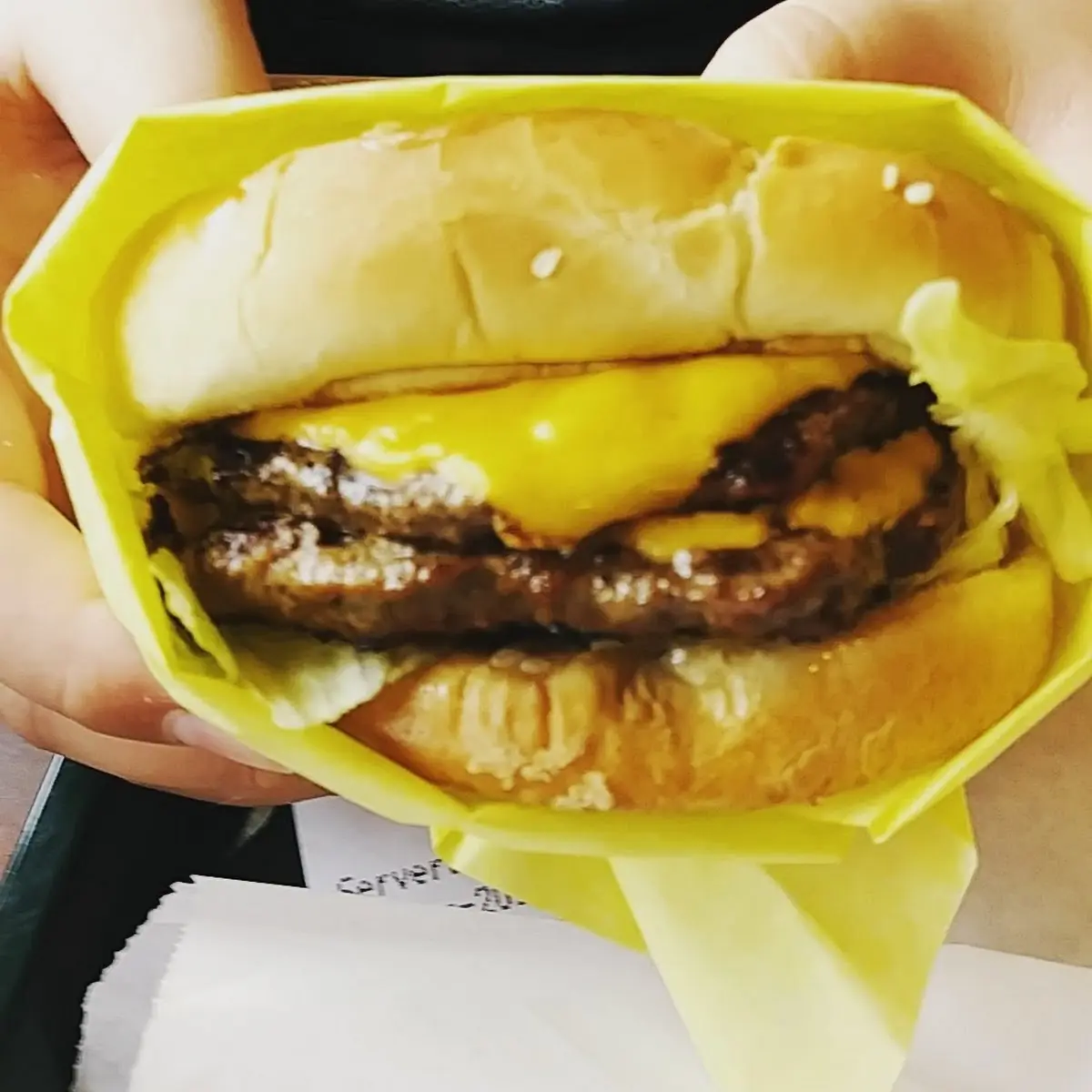 Double Cheeseburger