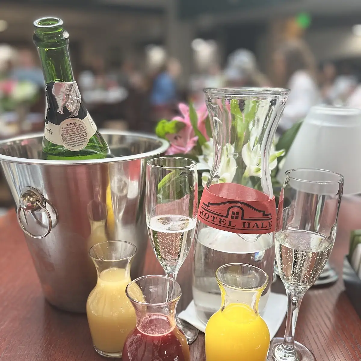 Mimosa Flight