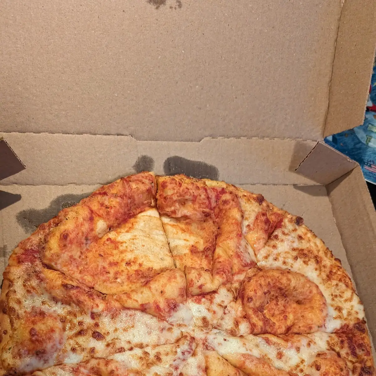 Extra Cheese Pizza