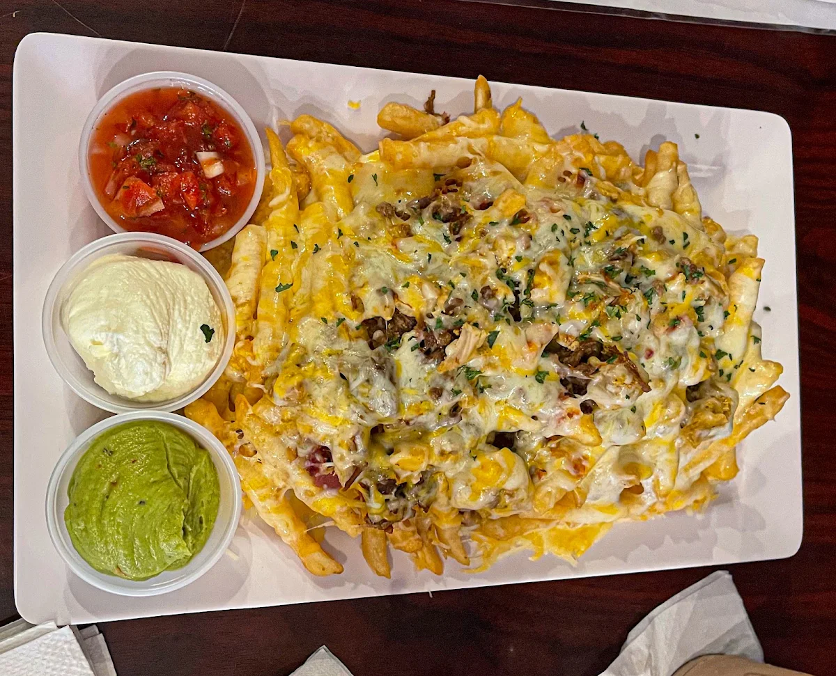 Fully Loaded Fries