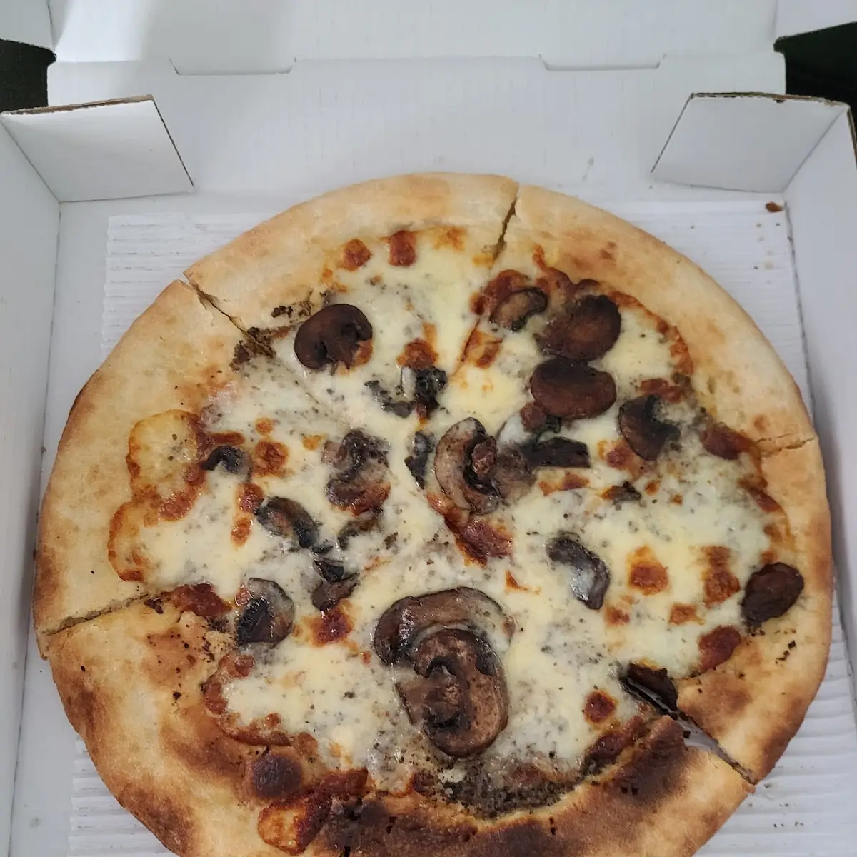Truffle and Mushroom Pizza