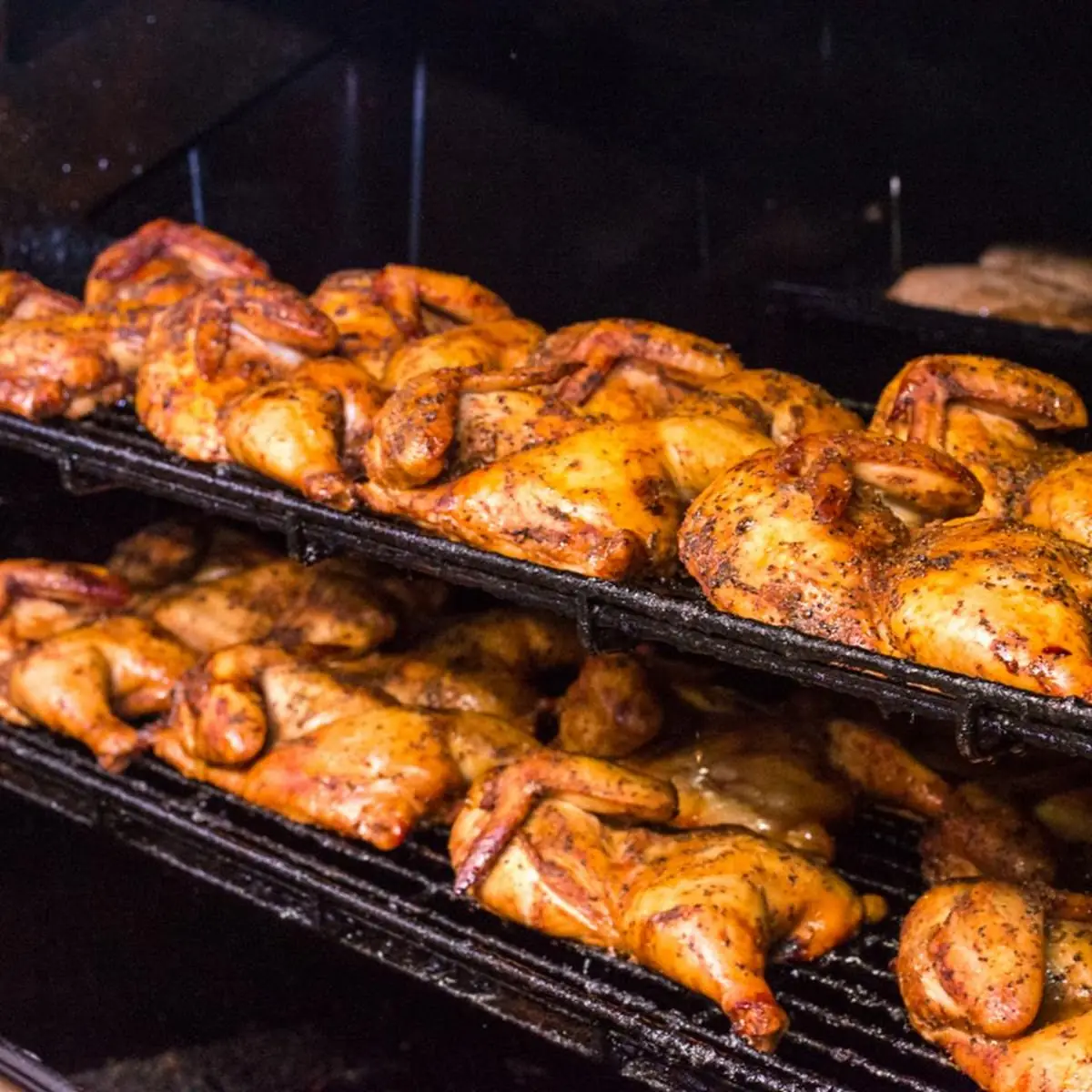 BBQ Chicken Turkey Breast or Sausage
