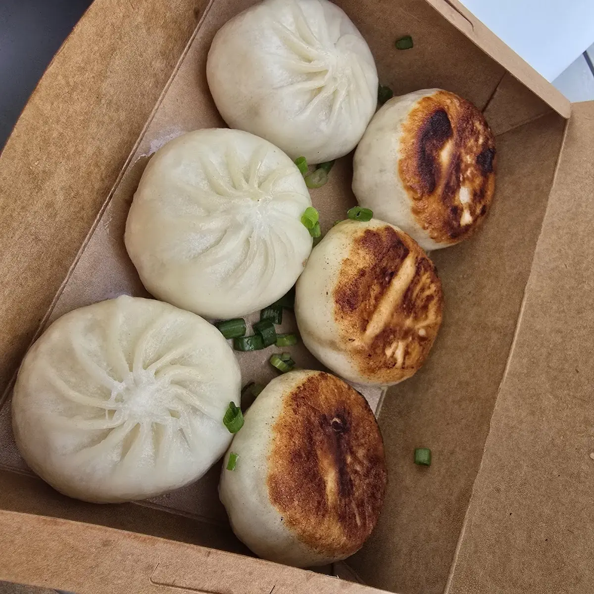 Fried Pork Dumplings