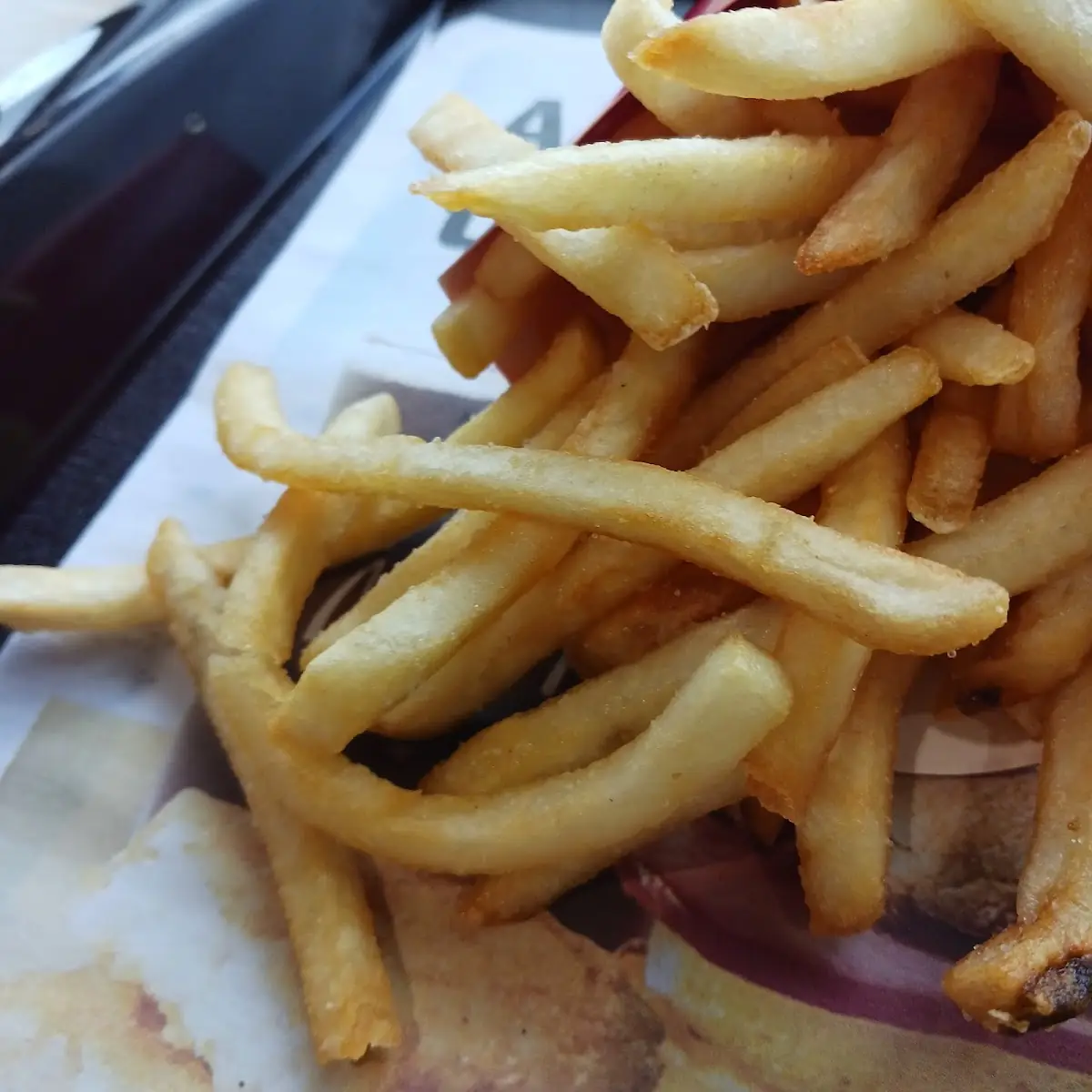 World Famous Fries