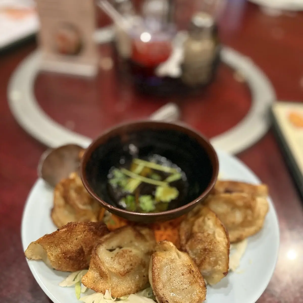 Pan-Fried Beef Dumplings