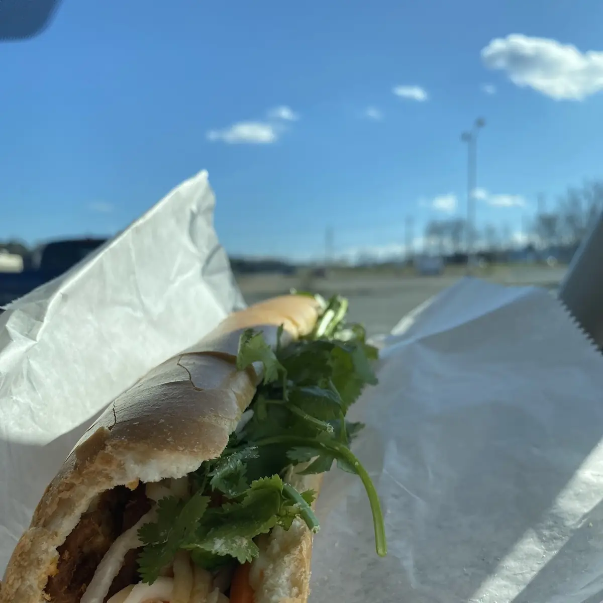 Vegetarian Bahn MI