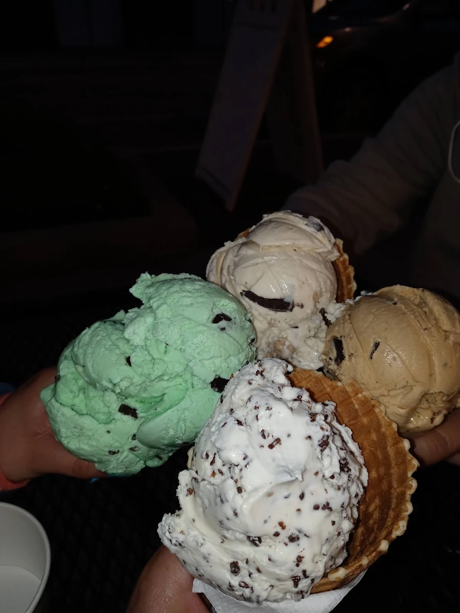 Mint Chocolate Chip Coffee Ice Cream Cone