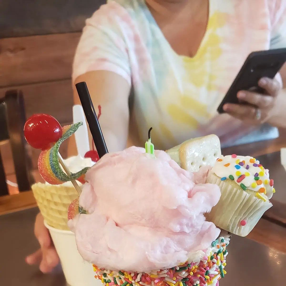 No Sugar Added Moose Tracks Pint