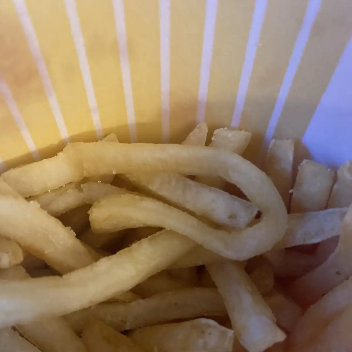 World Famous Fries