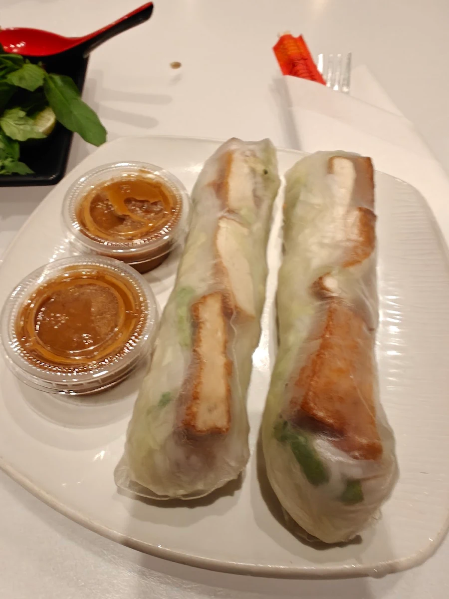 Philly Spring Rolls