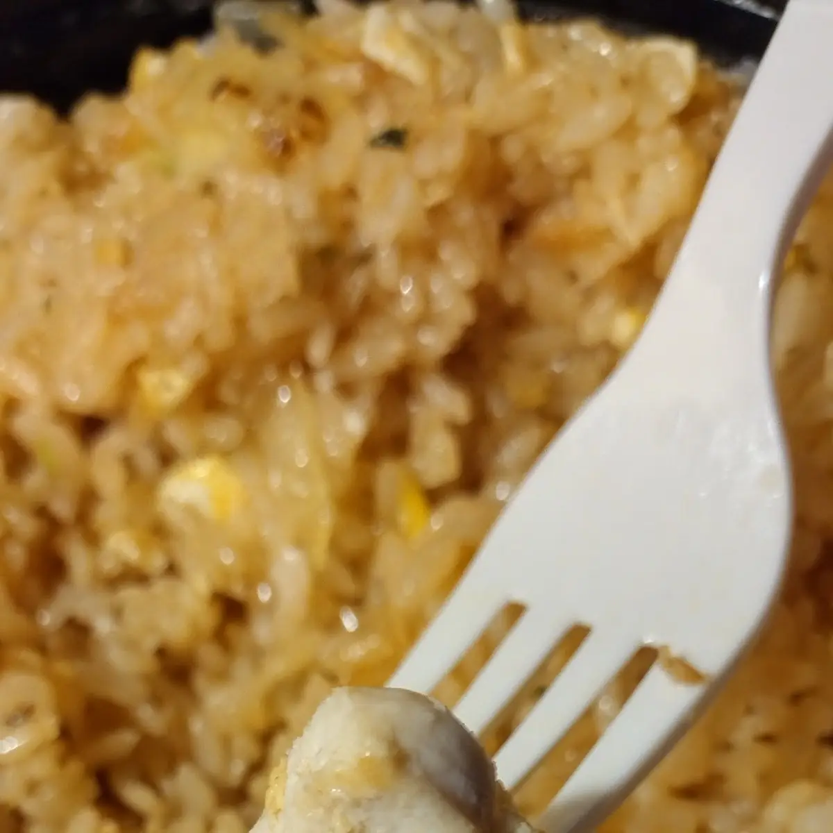 Fuji Fried Rice