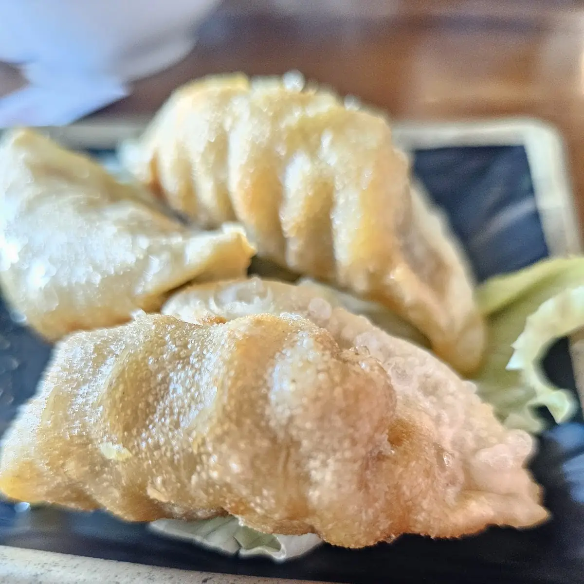 Gyoza