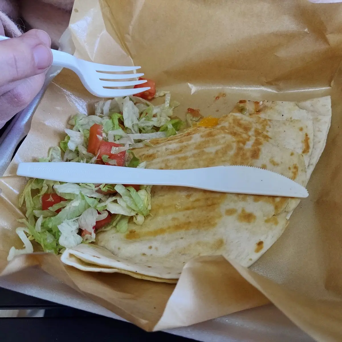 Cheese Quesadilla