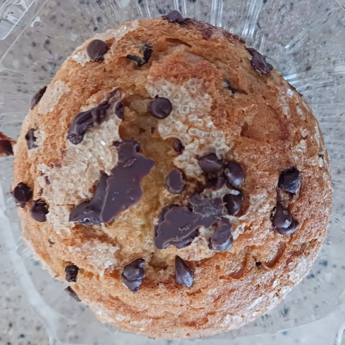 Chocolate Chip Muffin