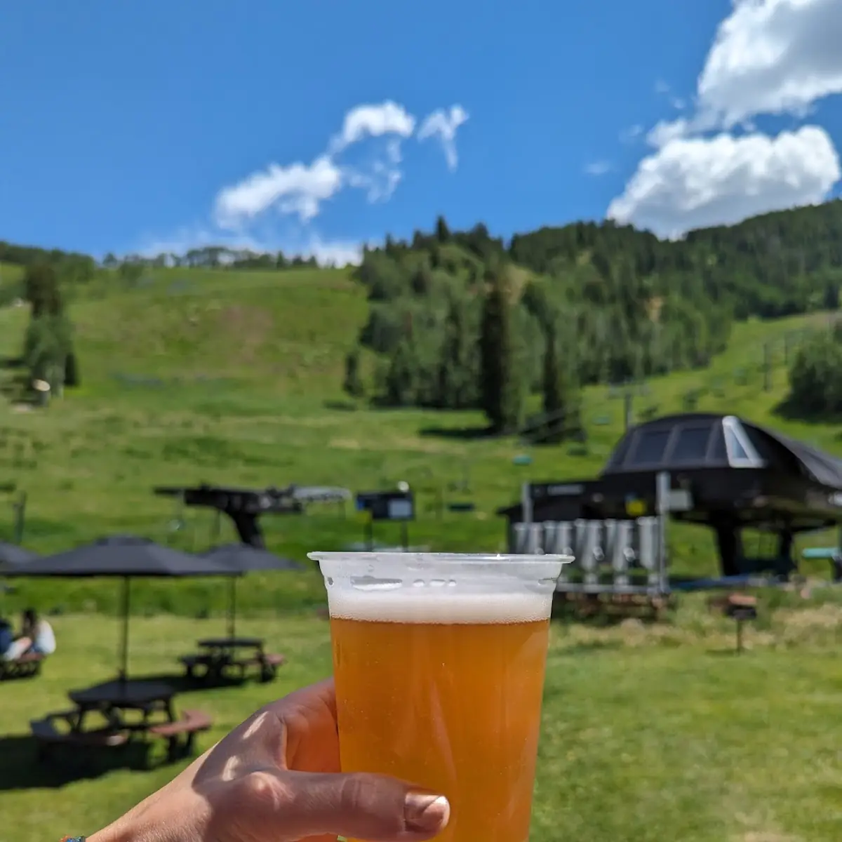 Wheat Ale