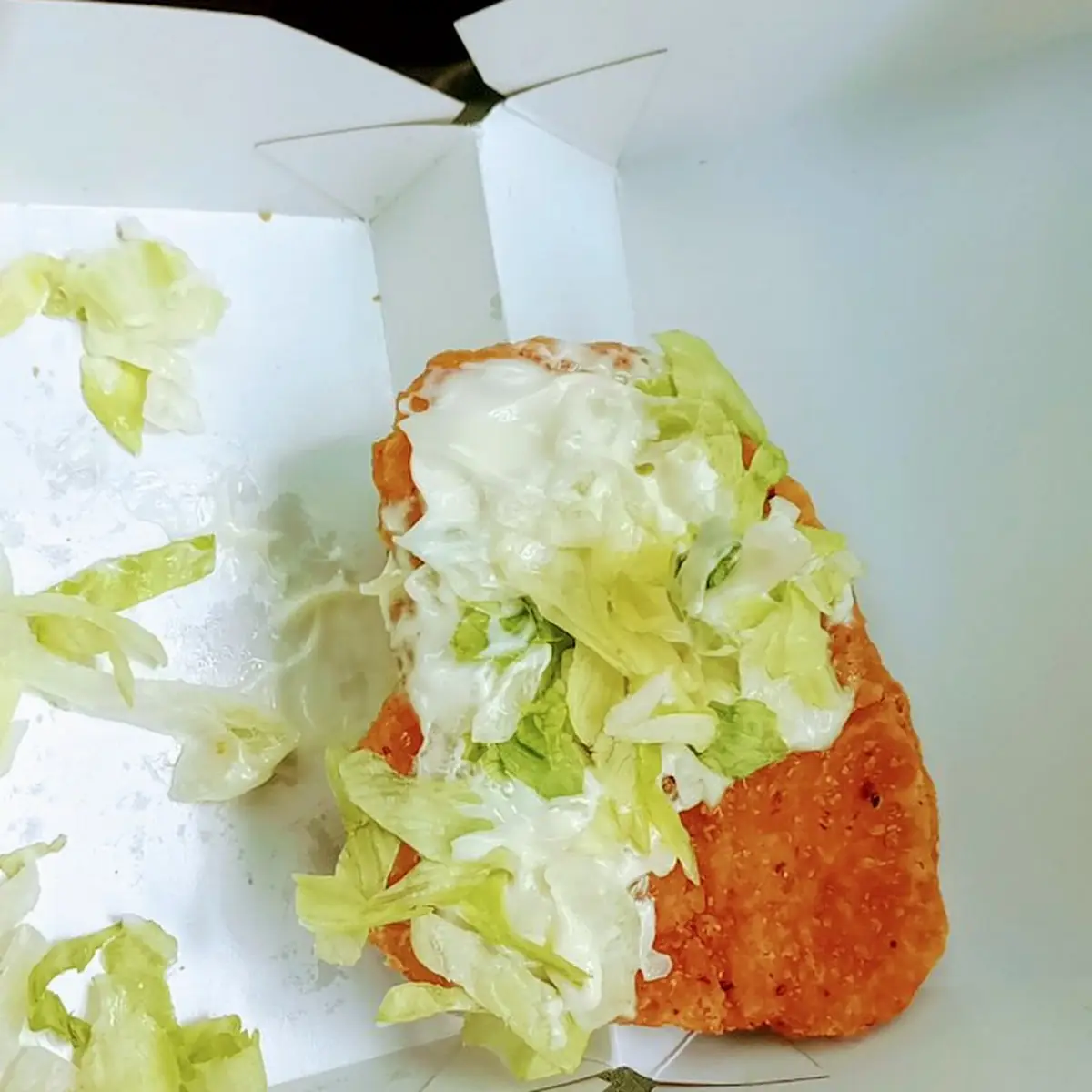 Plain Chicken Patty