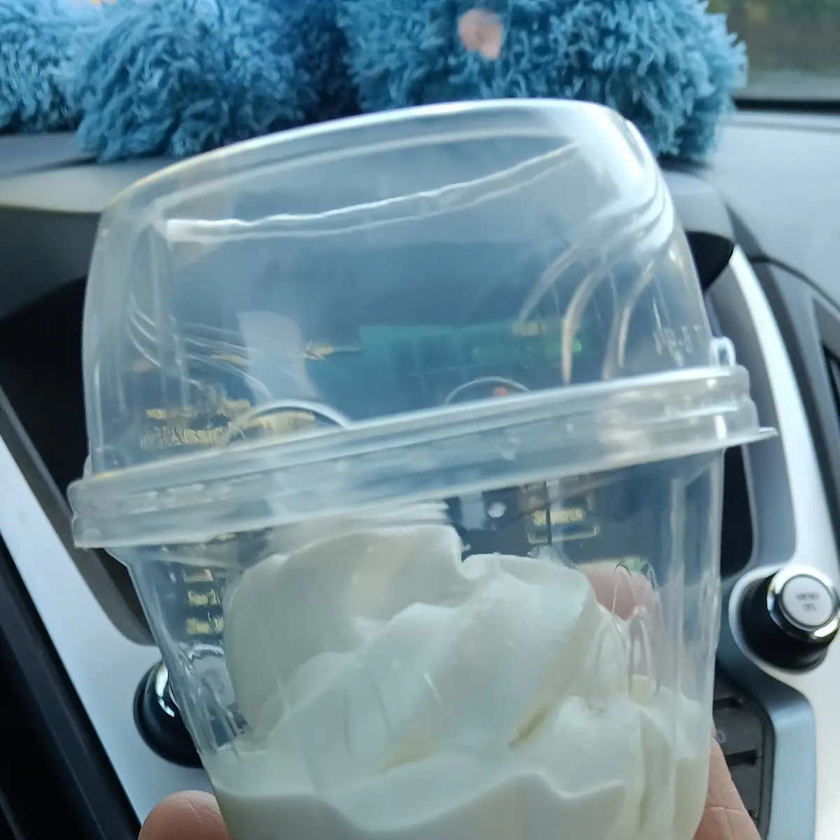 Vanilla Ice Cream