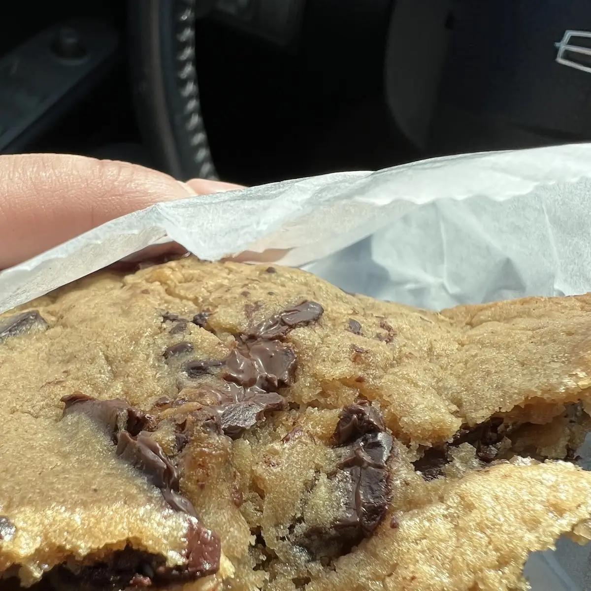 Chocolate Chip