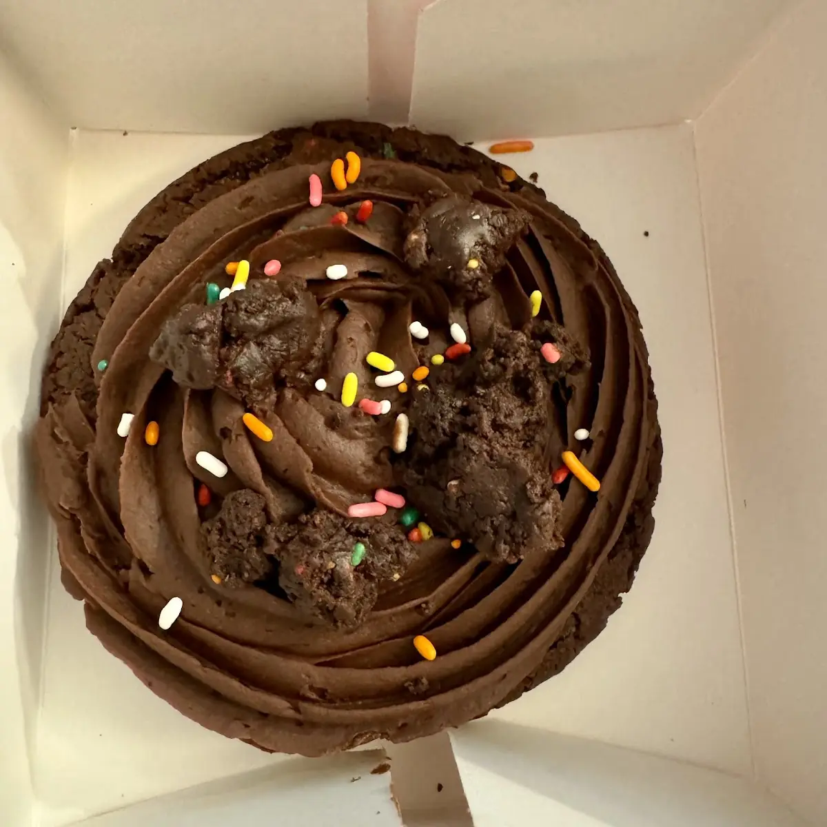 Chocolate Cookie