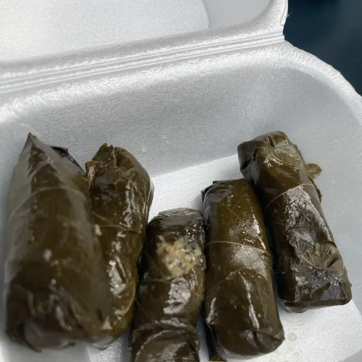 Grape Leaves 6