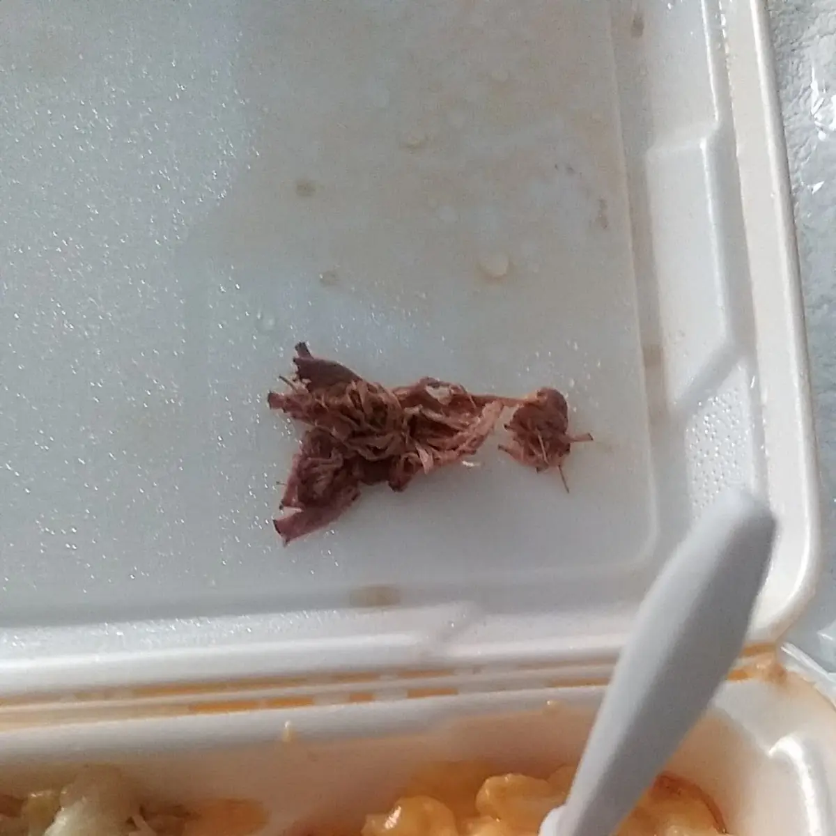 Ox Tail