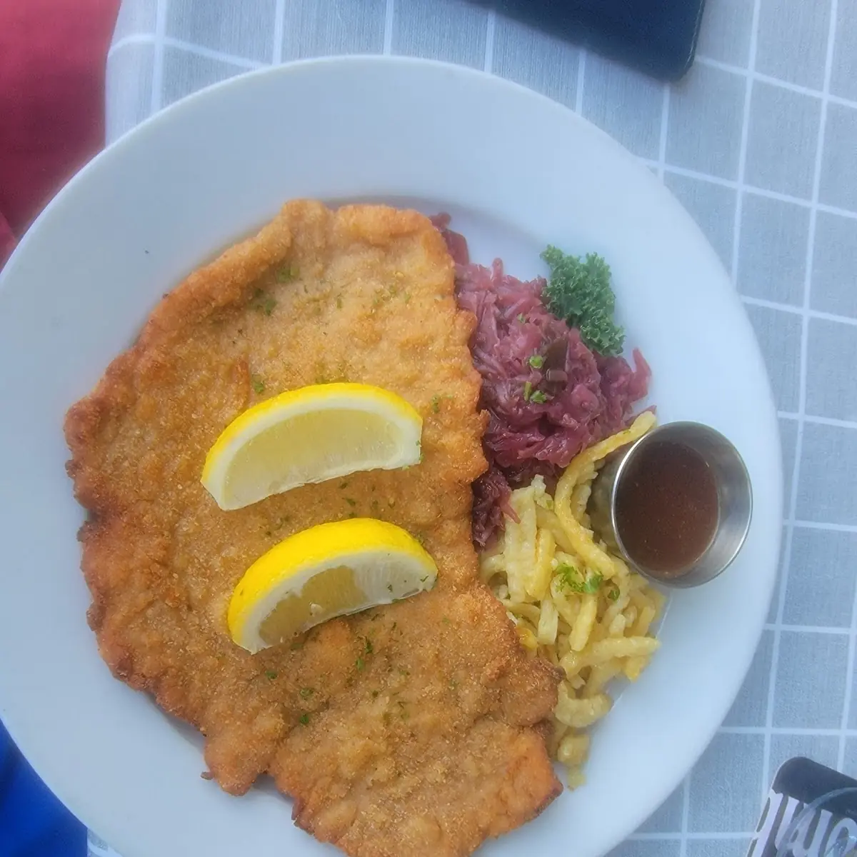 Schnitzel Plata