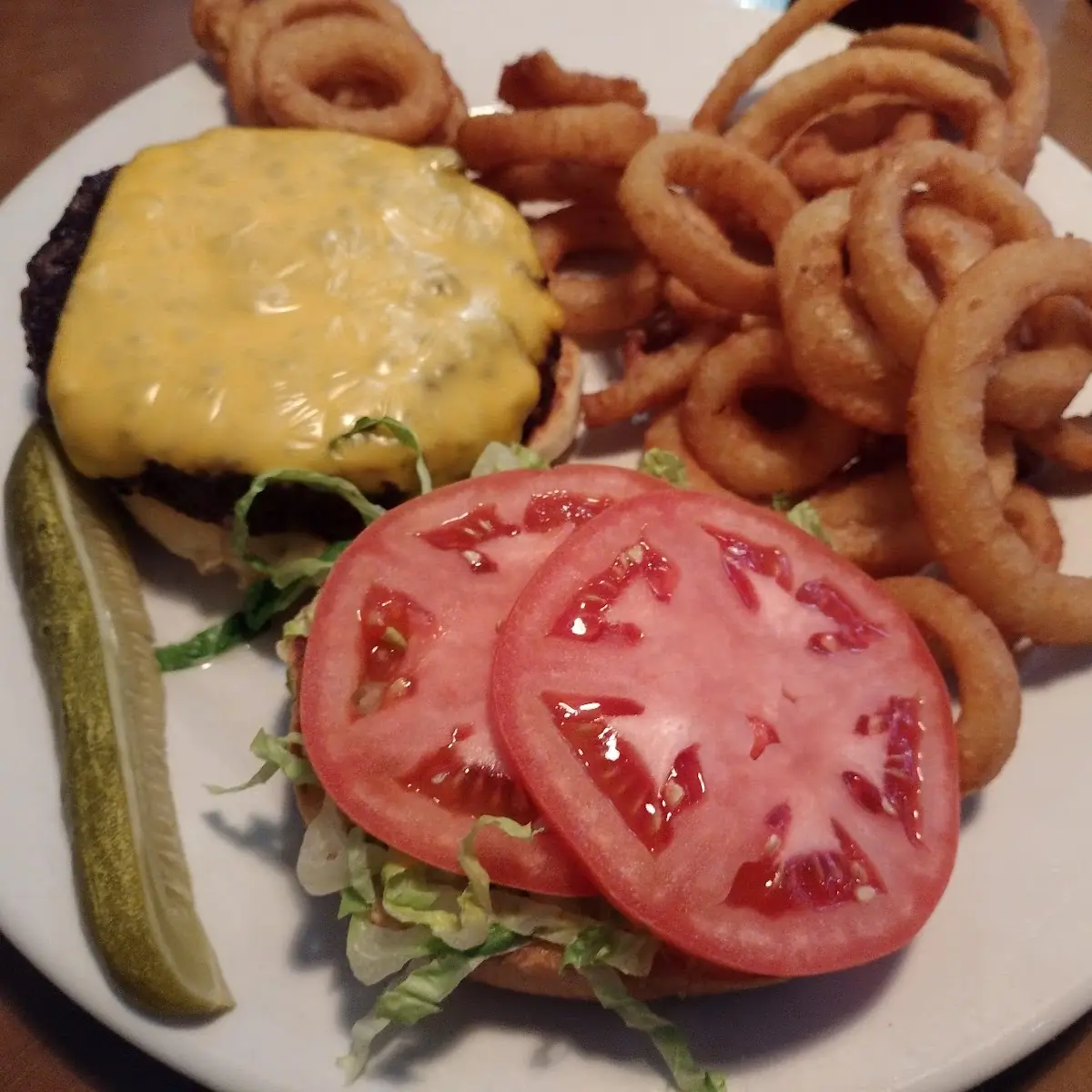 Elk Burger and Onion Rings