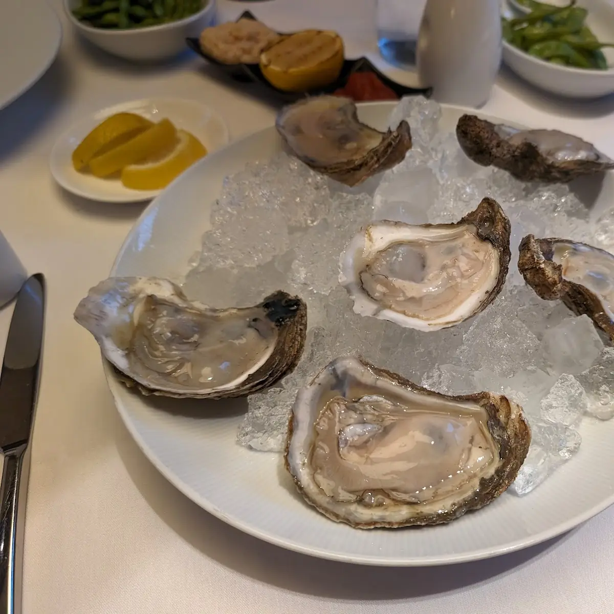 Oysters on the Half Shell