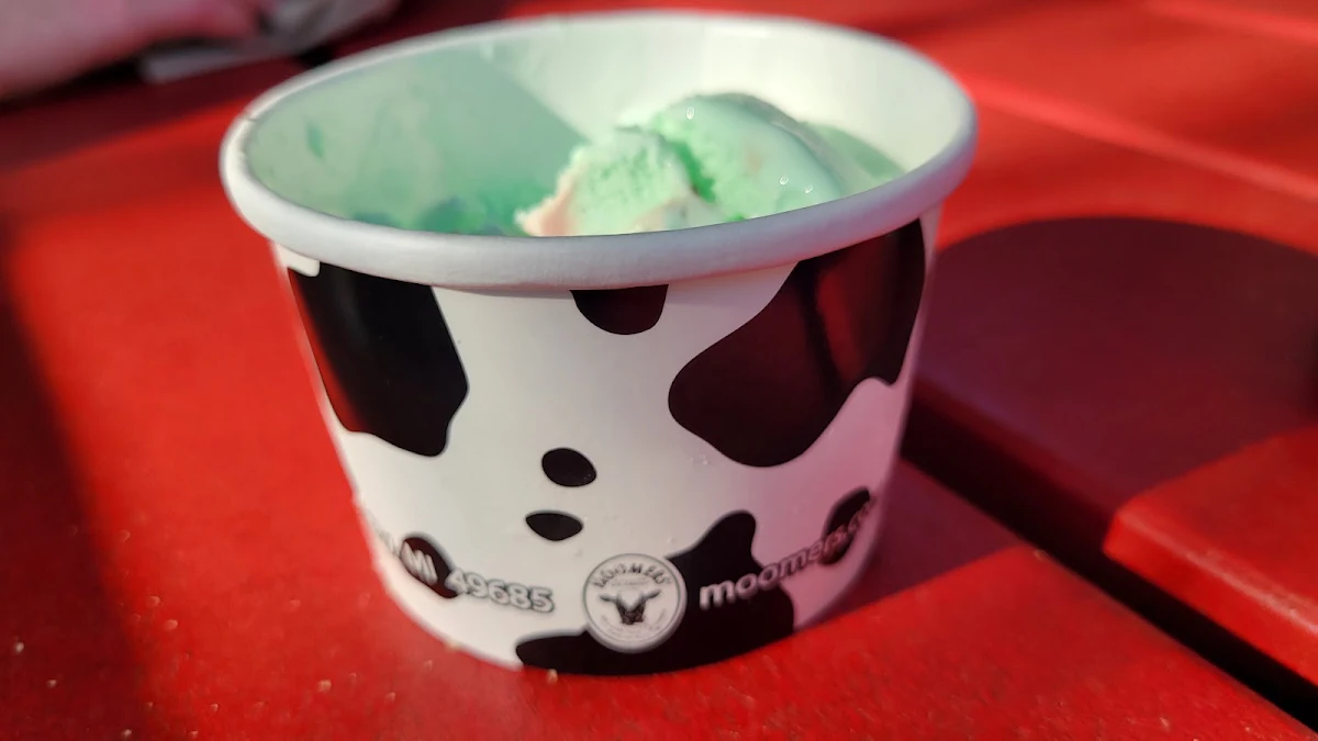 Mint Chocolate Chip