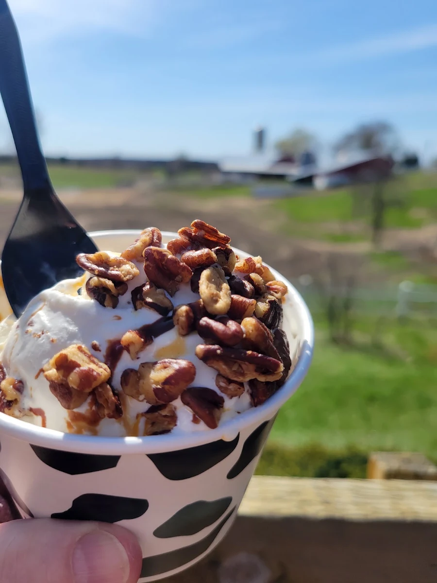 Turtle Sundae