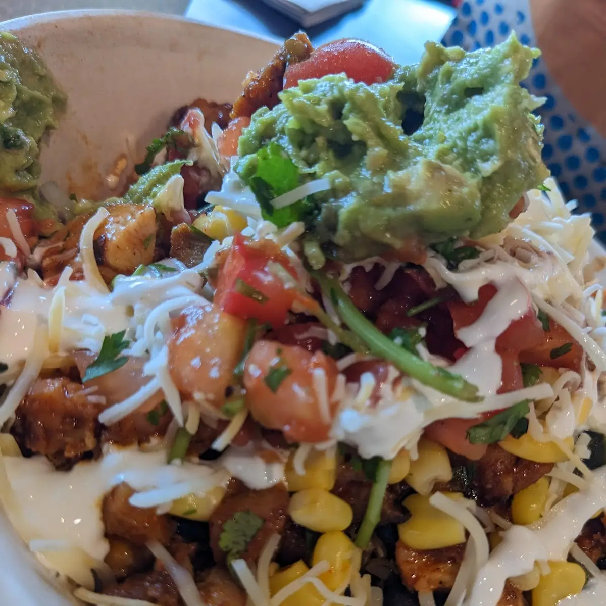 Carne Asada Fries