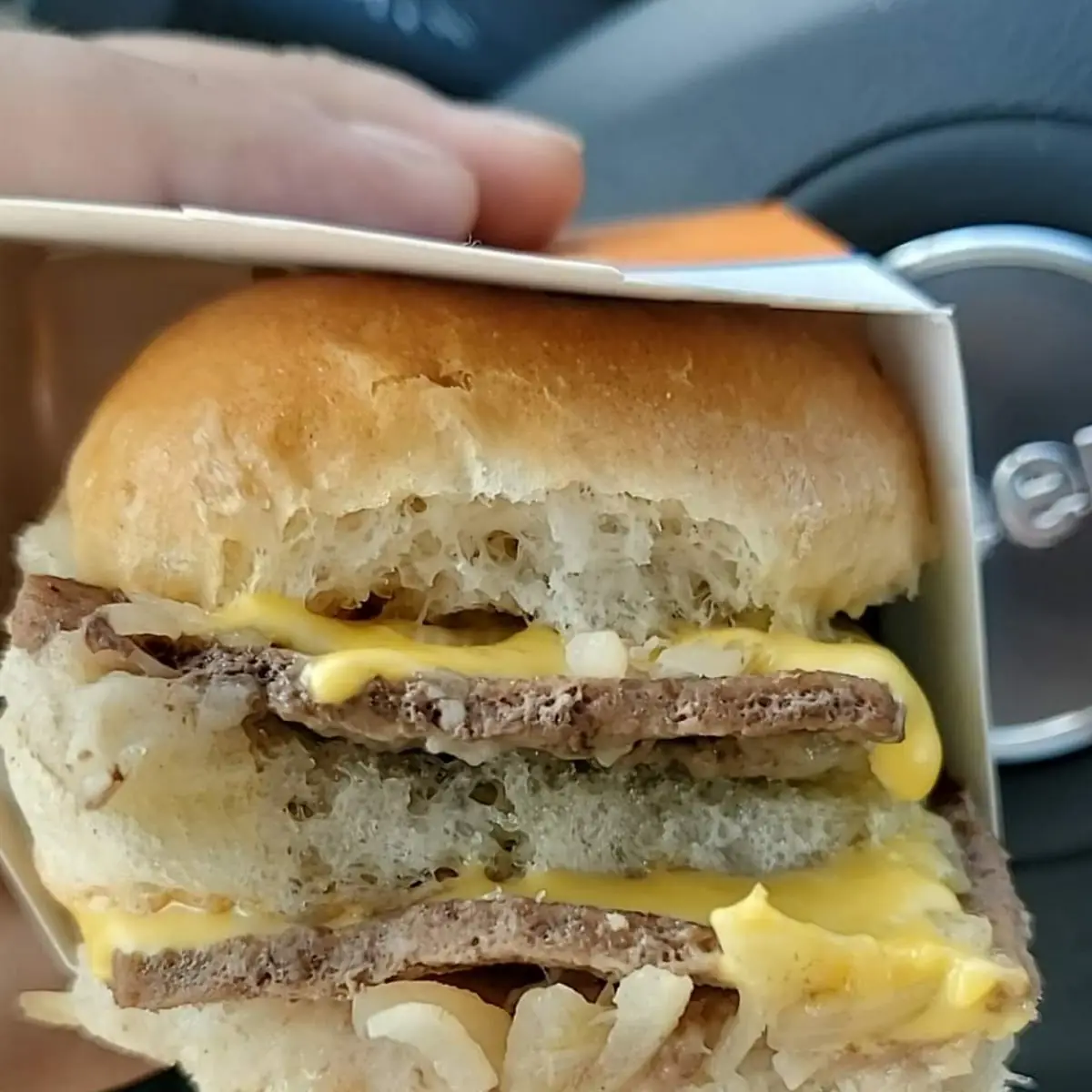 Double Cheeseburger